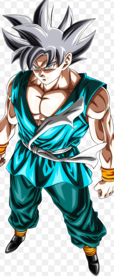 Budō Goku