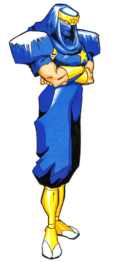 Ginzu the Ninja