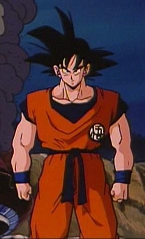 Goku (DBZ:F)
